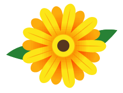 Singapore Kindness Movement