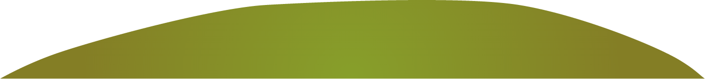 Singapore Kindness Movement